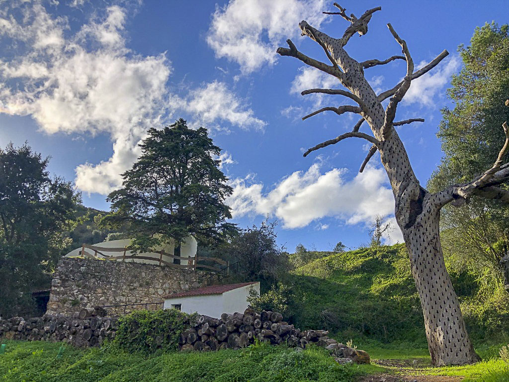 Locations Portugal - Bianca Scherr