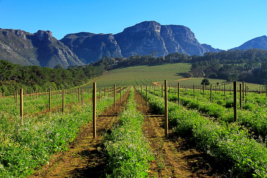 Locations South Africa - Bianca Scherr