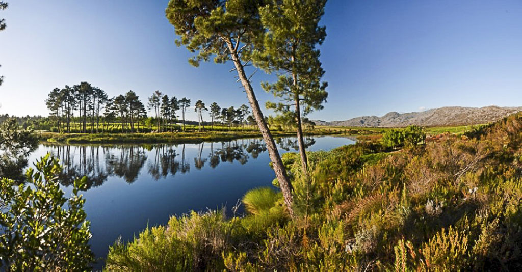 Locations South Africa - Bianca Scherr